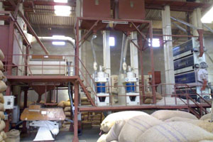 rice mills